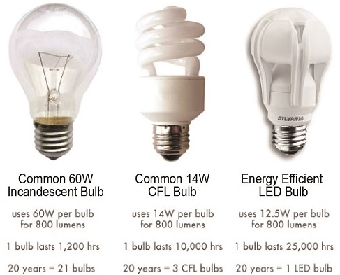 Global LED bulbs average declined slightly in August Global LED bulbs average declined slightly in August